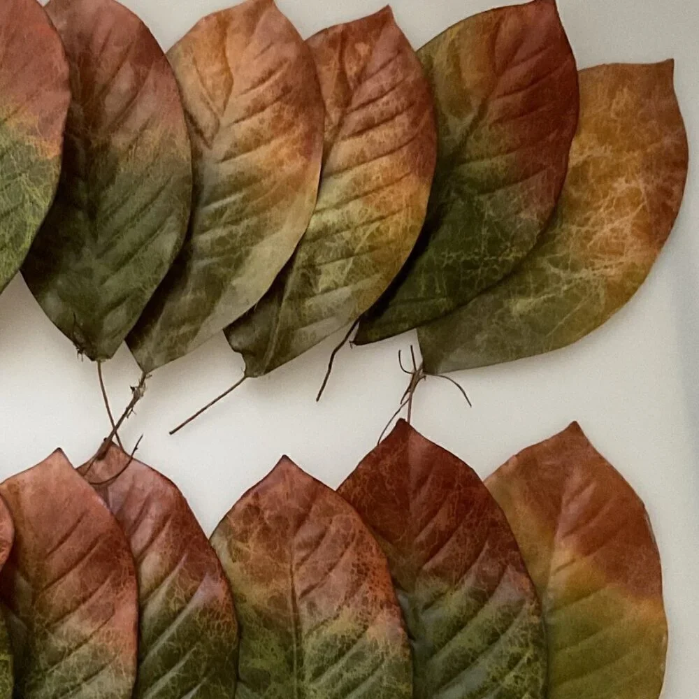 MAGNOLIA BIG LEAVES  DIY BUNDLE CRAFTS HOME DECOR 30 LEAVES 4 BRANCHES